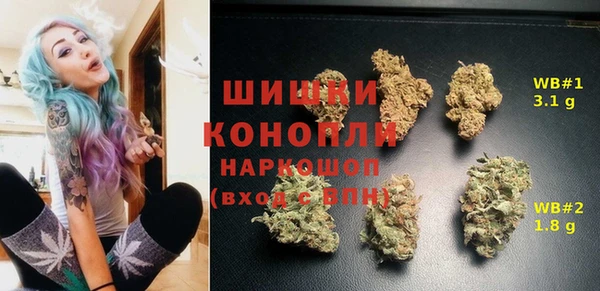 мдма Новодвинск