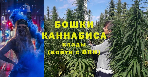 мдма Новодвинск