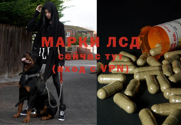 кокаин VHQ Новозыбков