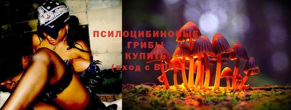 мдма Новодвинск