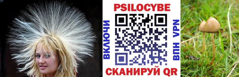 Псилоцибиновые грибы ЛСД  MEGA tor  Абдулино 